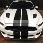 mustang rally stripes