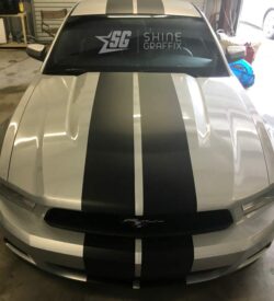 Mustang Racing Stripes 10in wide front