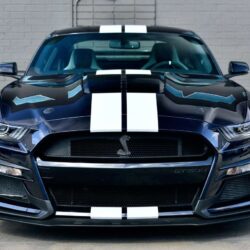 mustang shelby 7in racing stripes gt500 front view hood