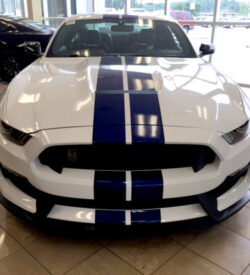 Mustang racing stripes shelby style