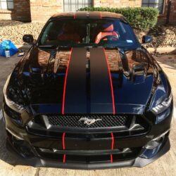 Mustang shelby racing stripes front view 7" wide matte black red