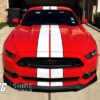 mustang-shelby-stripes4