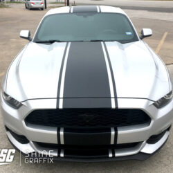 2017 ford mustang snake stripes top