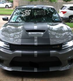 Dodge charger scat pack Hellcat stripes hood scoop Gray Front