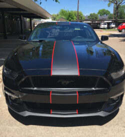 Mustang single stripe Shelby front