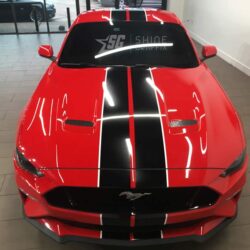 Universal racing stripes mustang shelby front