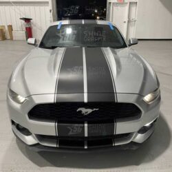 Mustang Rally 10" Racing Stripes front matte black