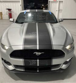 Mustang Rally 10" Racing Stripes front matte black