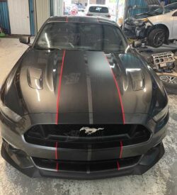 Mustang Shelby style racing stripes 10" wide front