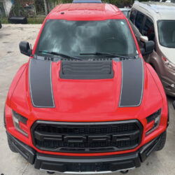 Ford Raptor F150 hood stripes 2 colors