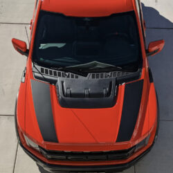 Ford Raptor F150 hood stripes solid style