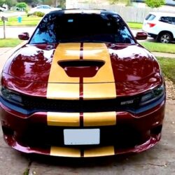 Gold racing stripes Dodge Charger