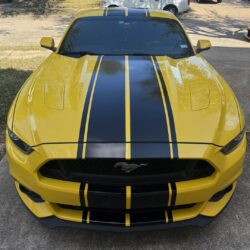 Ford Mustang Rally stripes 10in Gloss Black Front hood view